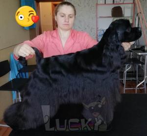 Фотография Lucky 0