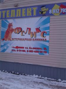 Фотография Феликс 0